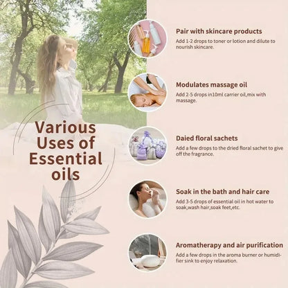 Lavender Plant Essential